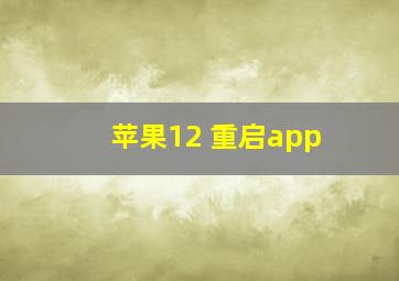 苹果12 重启app